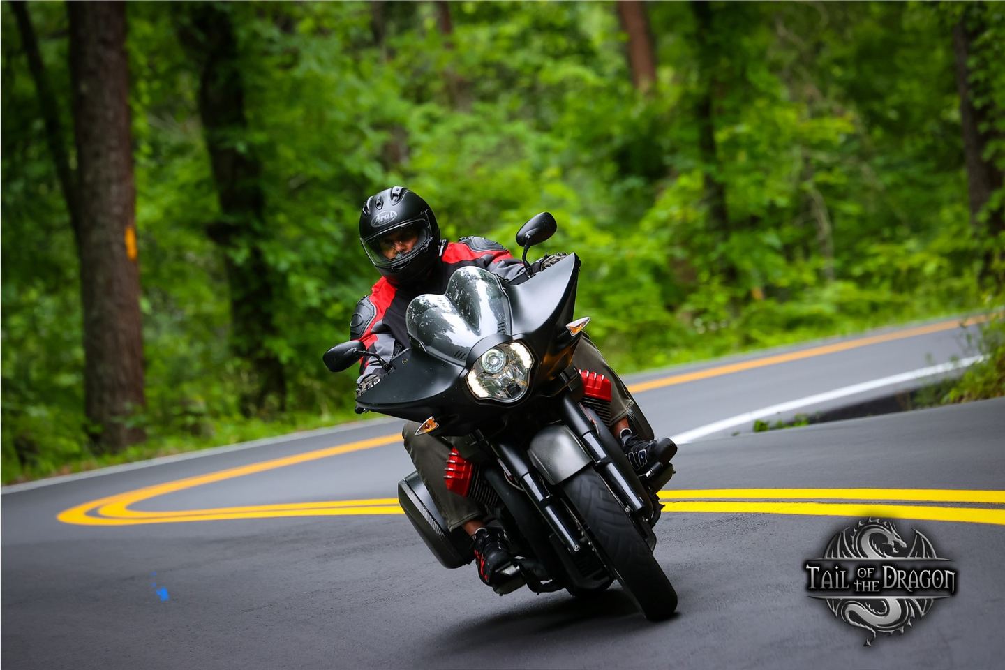 A motorcyclist in a black helmet and red jacket leans a touring motorcycle through a curve on a forested road at the Tail of the Dragon.